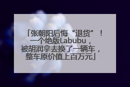 张朝阳后悔“退货”！一个绝版Labubu，被胡润拿去换了一辆车，整车原价值上百万元